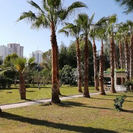 Luks Tripleks 180° Deniz Dag Manzarali Merkez De